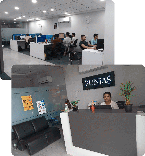 PUNIAS team at work