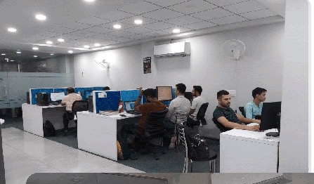 PUNIAS workplace