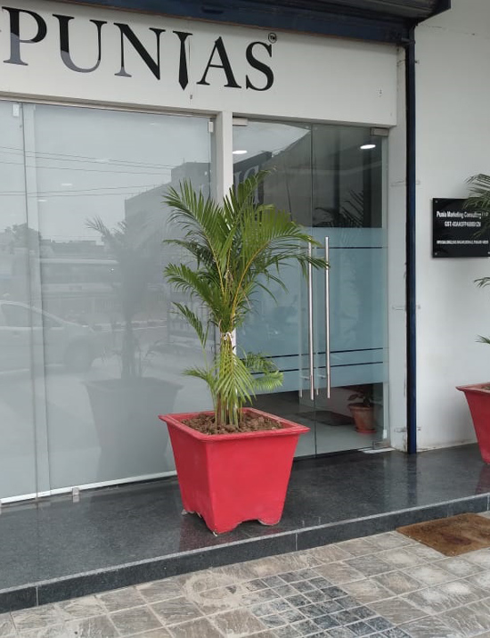 PUNIAS office front